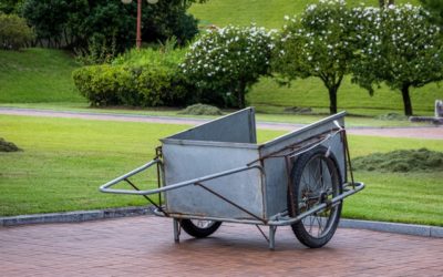 How to Enhance Your Home’s Curb Appeal: Lawn Care and Exterior Maintenance Tips