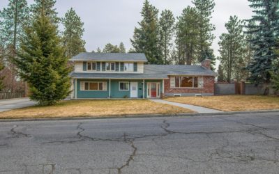 Why Regular Lawn Maintenance is Crucial for Property Value and Curb Appeal